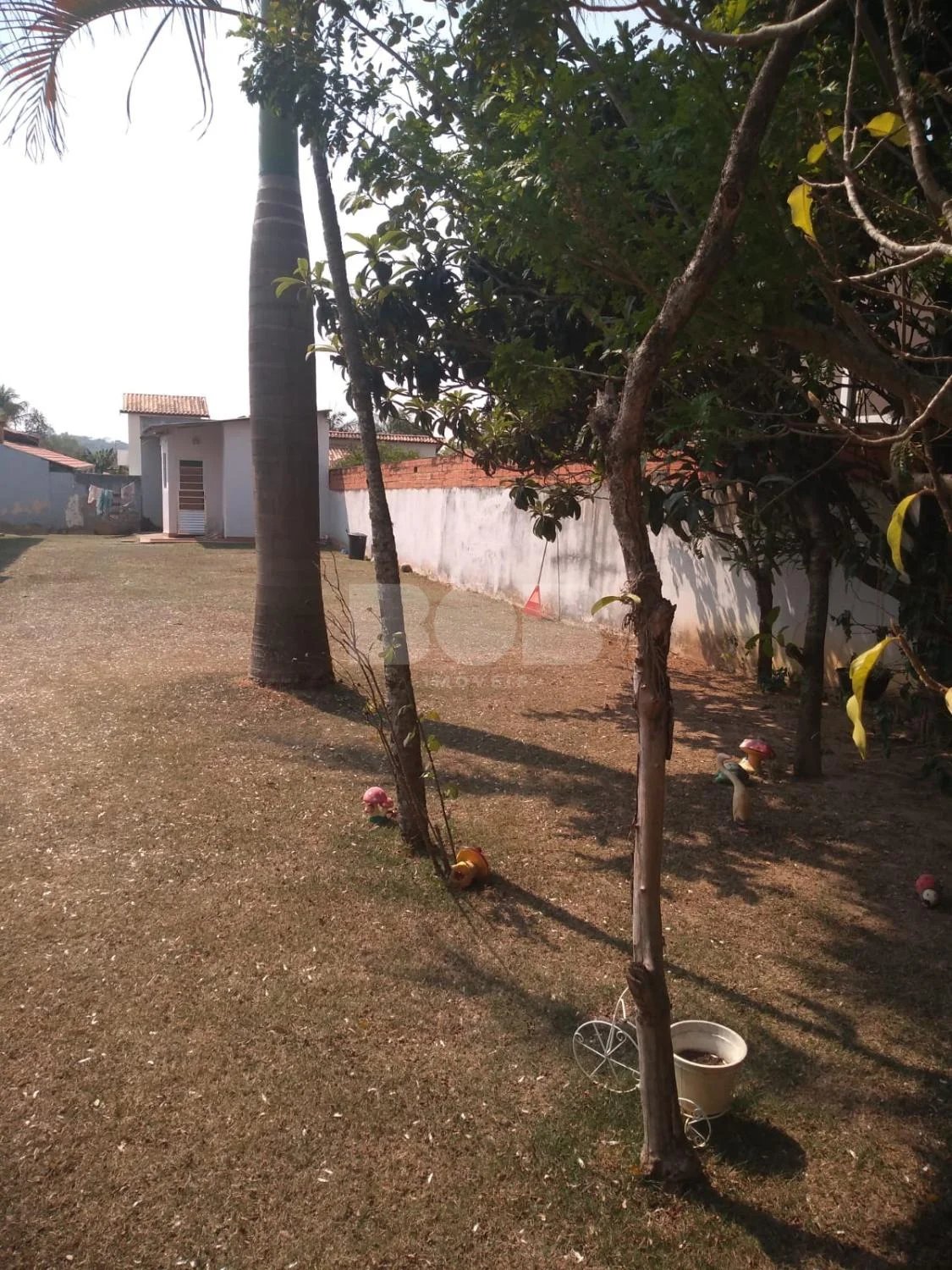 Chácara / Sítio À Venda Com 4 Dormitórios No Parque da Represa Em Paulínia