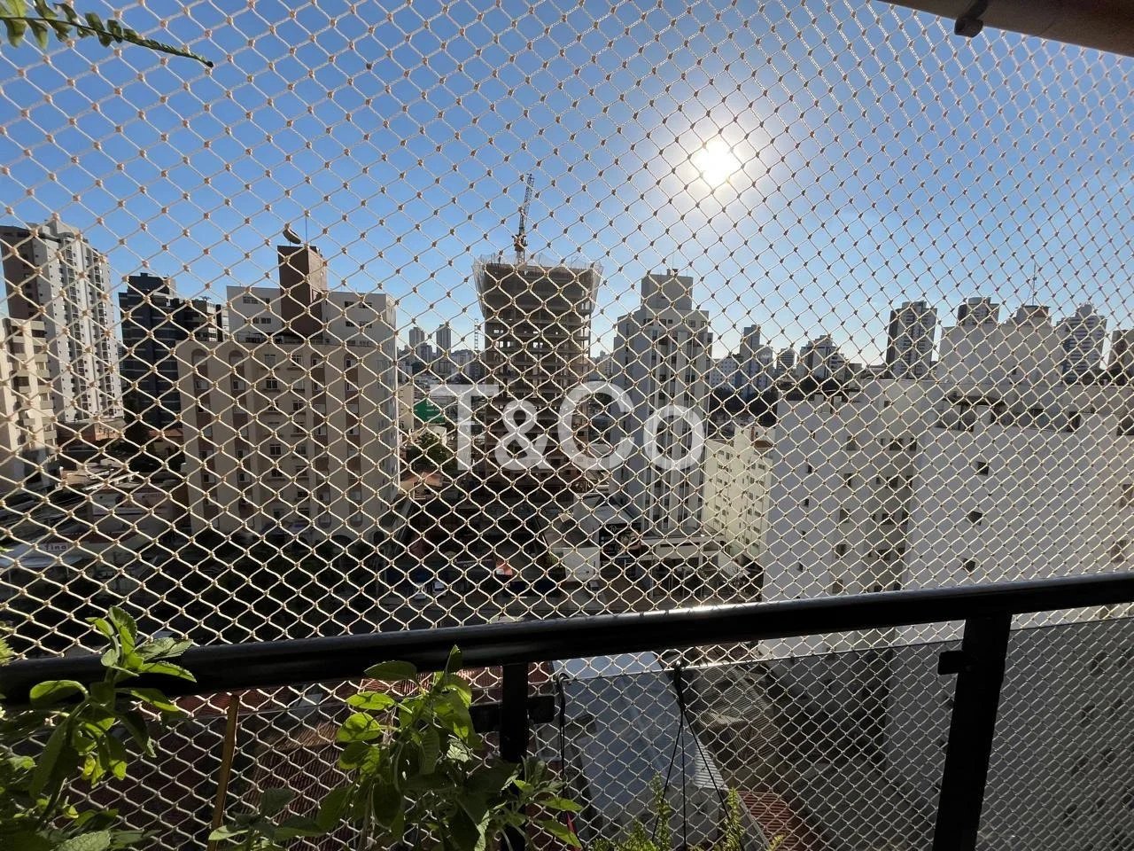 Apartamento À Venda Com 2 Dormitórios No Cambuí Em Campinas