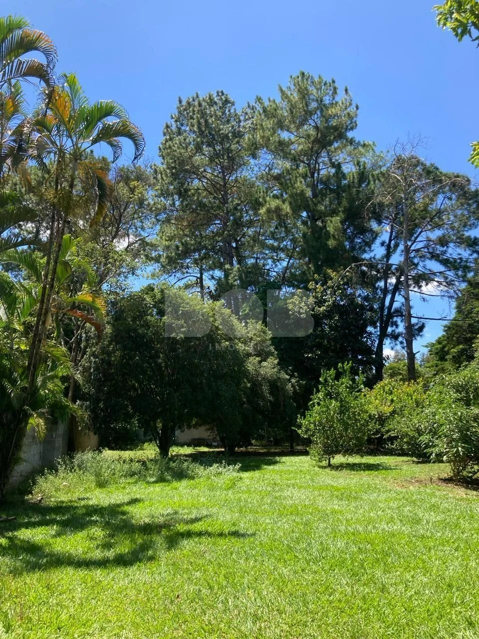 Terreno À Venda No Barão Geraldo Em Campinas