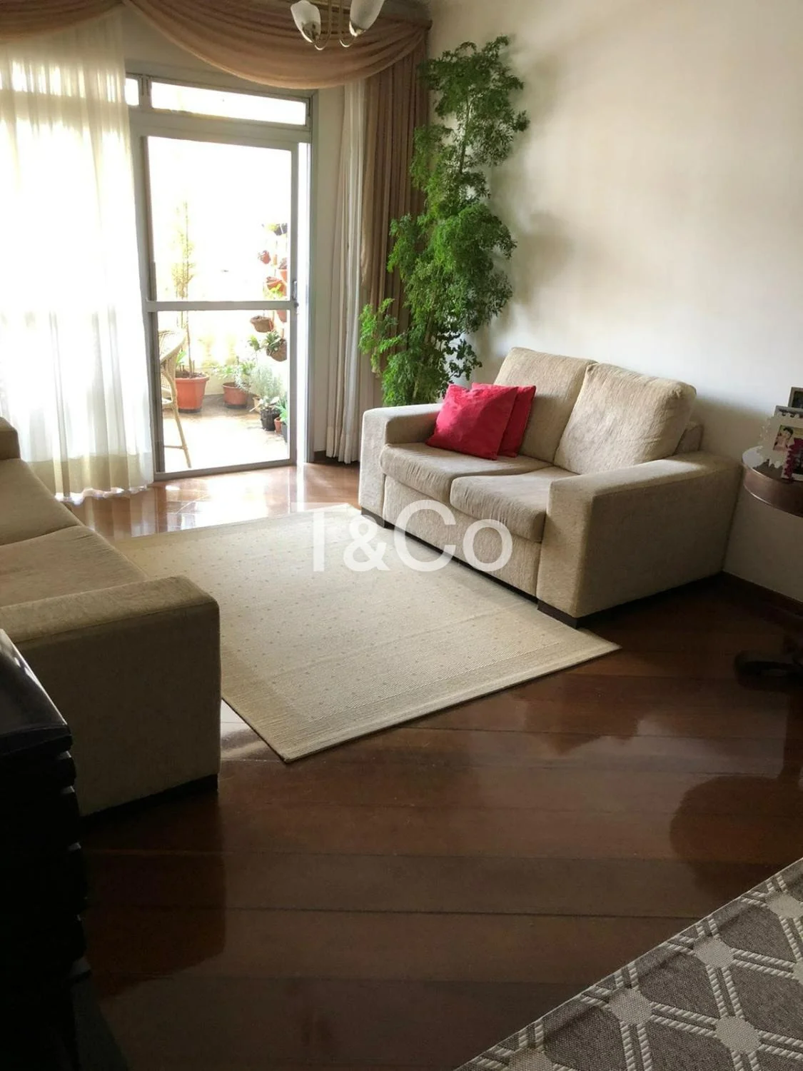 Apartamento À Venda Com 3 Dormitórios No Cambuí Em Campinas