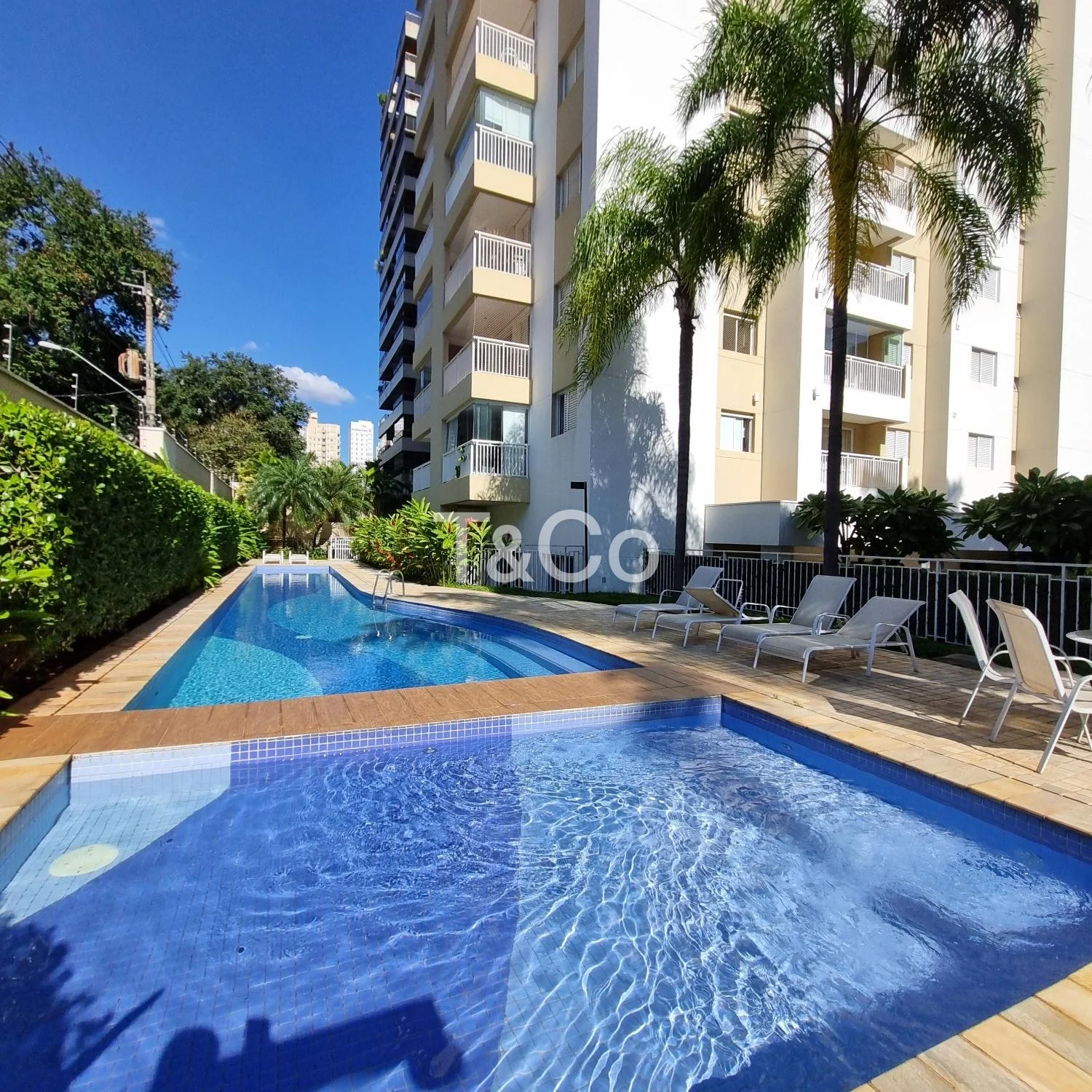 Apartamento À Venda Com 2 Dormitórios No Cambuí Em Campinas