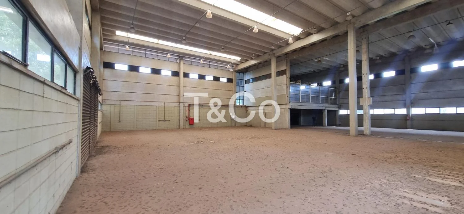 Galpão / Armazém Para Alugar No Techno Park Em Campinas