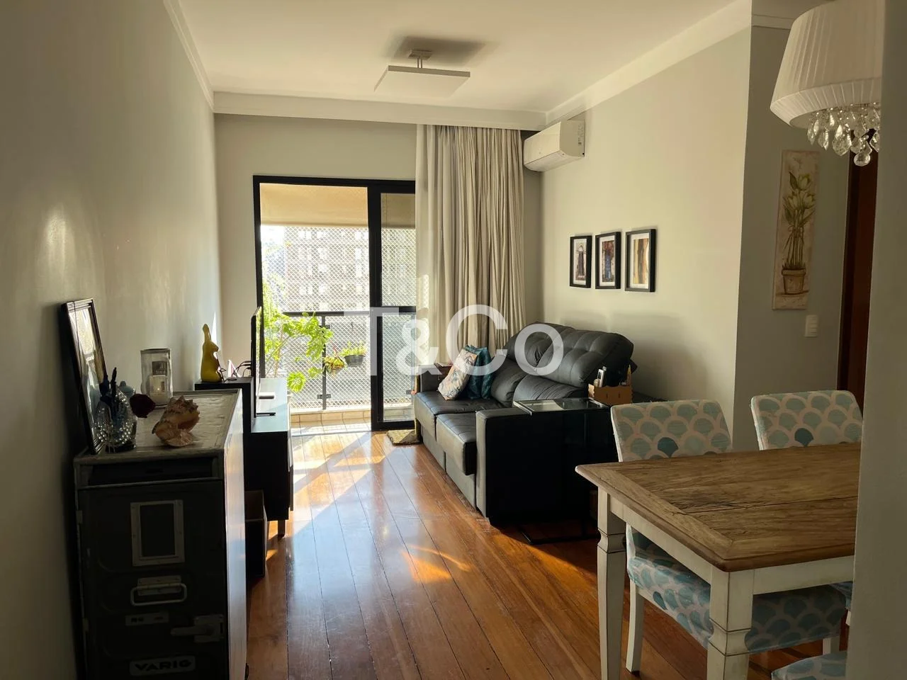 Apartamento À Venda Com 2 Dormitórios No Cambuí Em Campinas