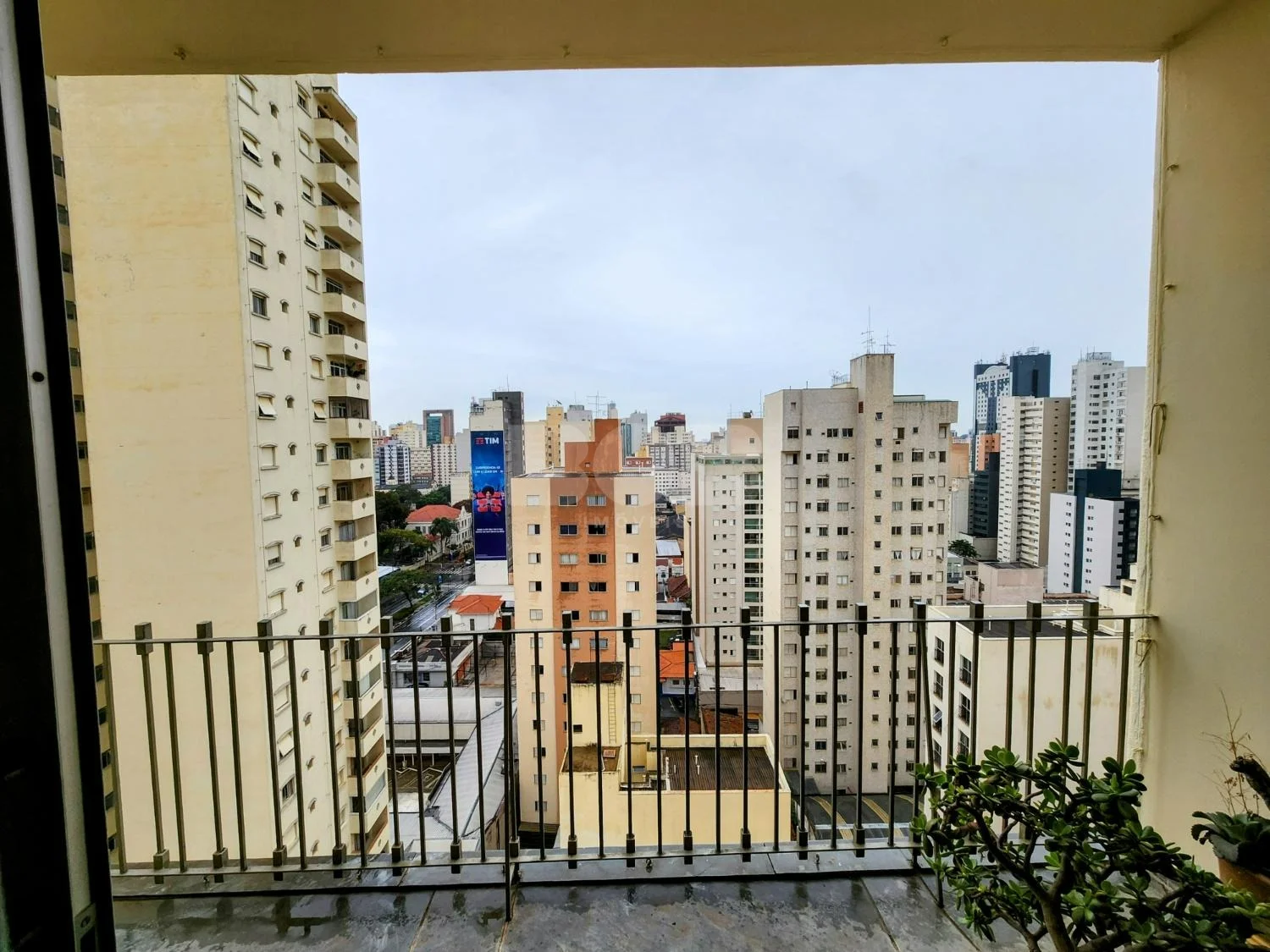 Apartamento À Venda Com 3 Dormitórios No Cambuí Em Campinas