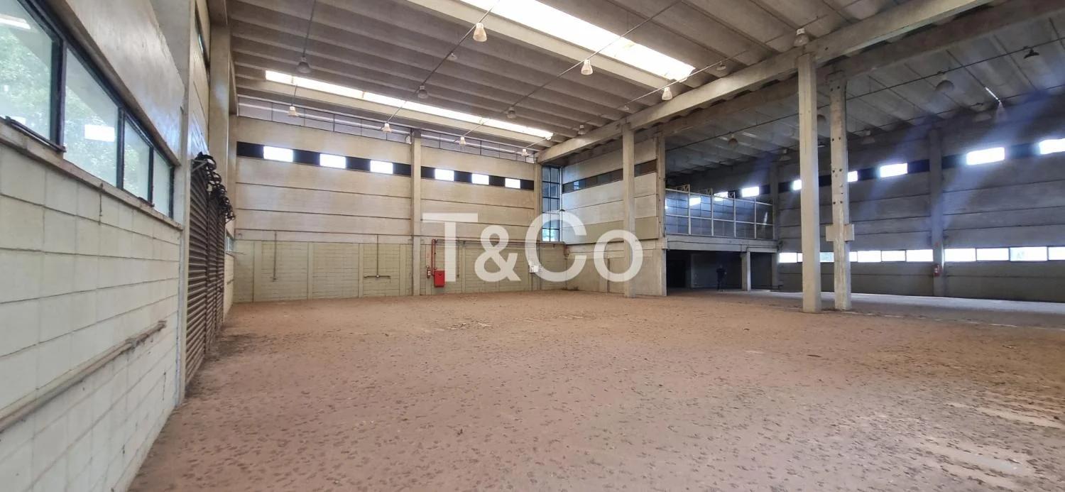 Galpão / Armazém Para Alugar No Techno Park Em Campinas