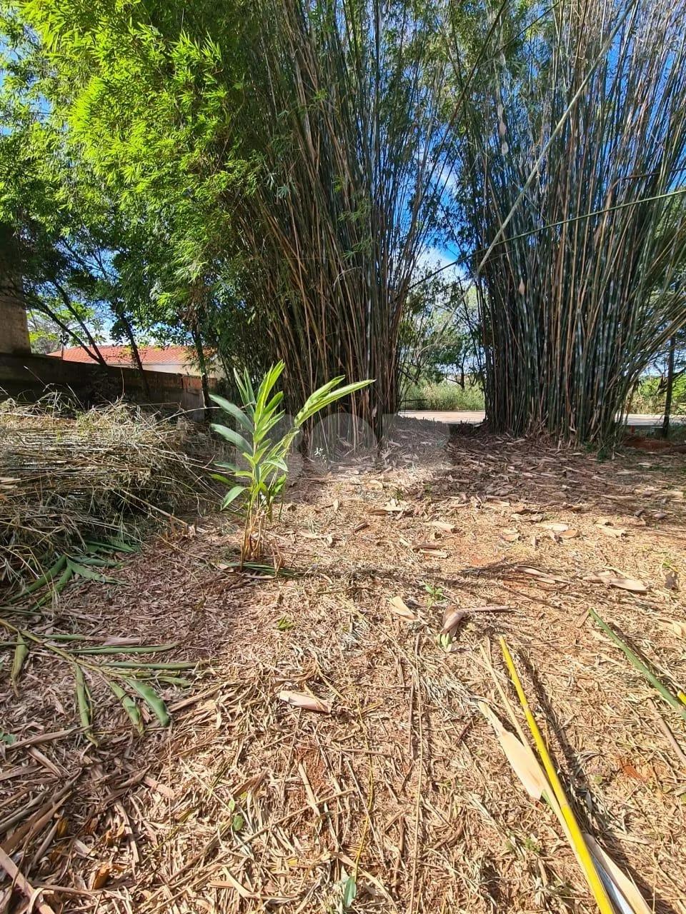 Terreno Residencial À Venda No Barão Geraldo Em Campinas