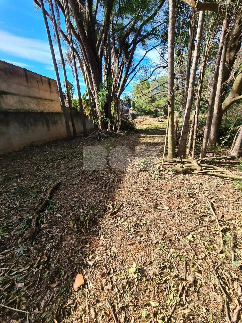 Terreno Residencial À Venda No Barão Geraldo Em Campinas